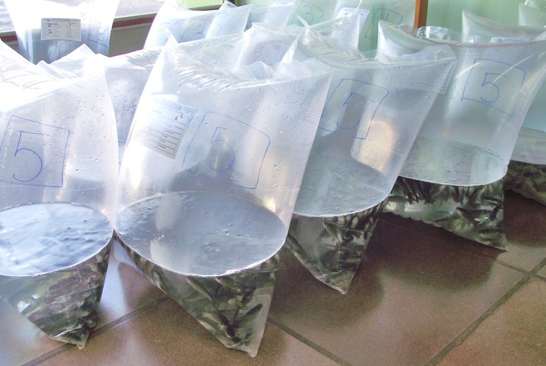 Gallery big 142170a0dd2b18933460c6a72ca12e5b